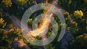 Forest Path Intersection - Aerial View