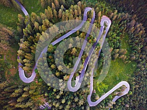 Aerial view of a winding forest road among pine trees in the Julian Alps at Triglav national park
