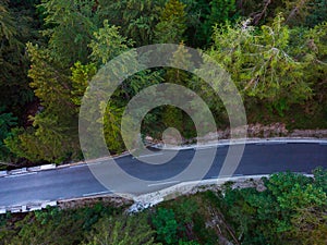 Aerial view of a winding forest road among pine trees in the Julian Alps at Triglav national park