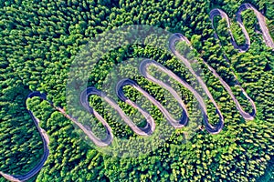 Aerial view of a winding mountain road passing through a fir trees forest