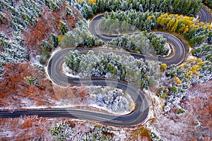 Aerial view of a winding mountain road passing through a fir trees forest. Winter with snow