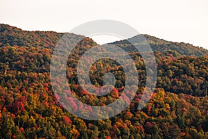 Aerial view of winding river in Laurentian mountains, Quebec, Canada during the fall foliage