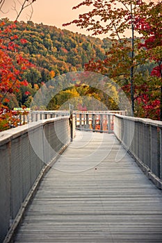 Aerial view of winding river in Laurentian mountains, Quebec, Canada during the fall