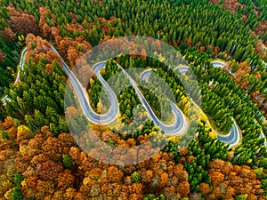 Aerial view of winding road through autumn colored forest