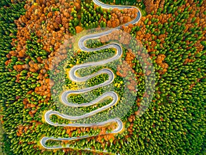Aerial view of winding road through autumn colored forest photo