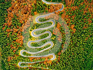 Aerial view of winding road through autumn colored forest