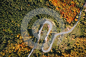 Aerial view of winding road in autumn forest