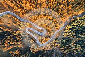 Aerial view of the winding road in autumn forest at sunset