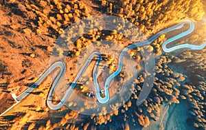 Aerial view of winding road in autumn forest at sunset