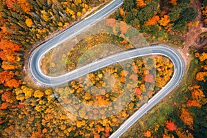 Aerial view of winding road in autumn forest at sunset