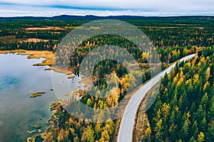 Aerial view of winding road and golden colored autumn or fall forest