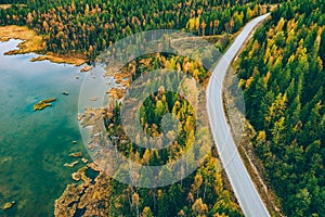 Aerial view of winding road and golden colored autumn or fall forest