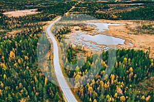 Aerial view of winding road and golden colored autumn or fall forest