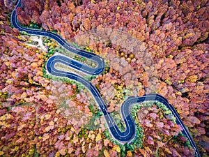 Aerial view of a winding road in the mountains in autumn season