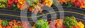 Aerial view of a winding road snaking through a breathtaking autumn forest, captured from above photo