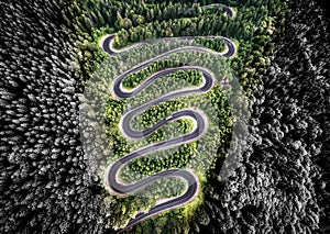 Aerial view of a winding road in the woods