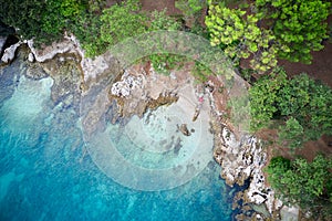 Aerial view of the winding sea coast, overgrown with trees. Copy space