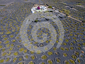 Aerial view of the wine cultivations on the volcanic soils of the island of Lanzarote. Canary Islands, Spain. Wine production