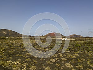 Aerial view of the wine cultivations on the volcanic soils of the island of Lanzarote. Canary Islands, Spain. Wine production