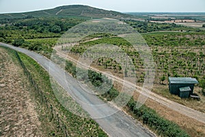 Aerial view of wine region of Tokaj in south east Slovakia, Mala Trna, seen from Observation Tower
