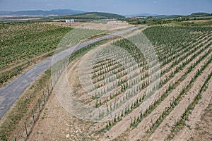 Aerial view of wine region of Tokaj in south east Slovakia, Mala Trna, seen from Observation Tower