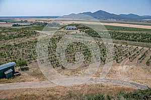 Letecký pohľad na vinársku oblasť tokaj na juhovýchodnom slovensku, malá trna, pohľad z vyhliadkovej veže