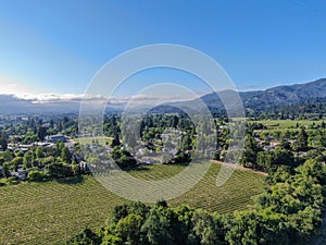 Aerial view of wine vineyard in Napa Valley
