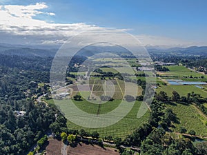 Aerial view of wine vineyard in Napa Valley