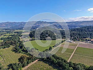 Aerial view of wine vineyard in Napa Valley