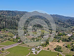 Aerial view of wine vineyard in Napa Valley