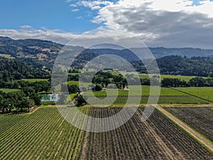 Aerial view of wine vineyard in Napa Valley