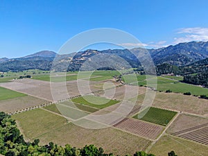 Aerial view of wine vineyard in Napa Valley