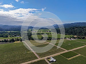 Aerial view of wine vineyard in Napa Valley