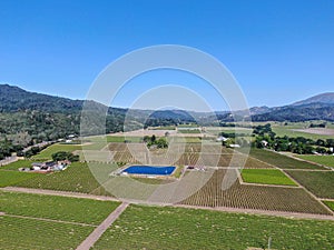 Aerial view of wine vineyard in Napa Valley