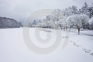 Aerial view of winter beautiful landscape with trees covered with hoarfrost and snow. Winter scenery from above. Landscape photo