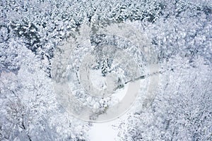 Aerial view of winter beautiful landscape with trees covered with hoarfrost and snow. Winter scenery from above. Landscape photo