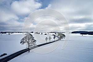 Aerial view of a winter curved road covered with snow. A snowy plateau with single trees captured from above with a