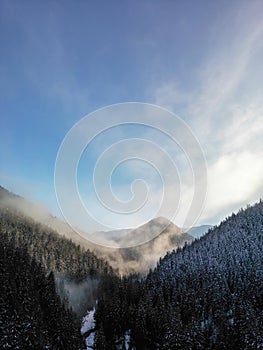 Aerial view of winter dark forest and fog on cliffs of Low Tatras mountains in Slovakia