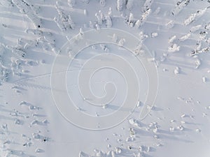 Aerial view of winter forest covered in snow in Finland, Lapland. Top view