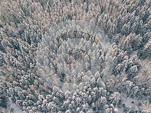 Aerial view of winter forest covered in snow and frost.