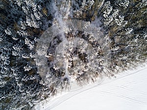 Aerial view of winter forest covered in snow and frost.