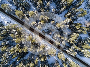 Aerial view of winter forest covered in snow and frost.