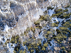 Aerial view of winter forest covered in snow and frost.