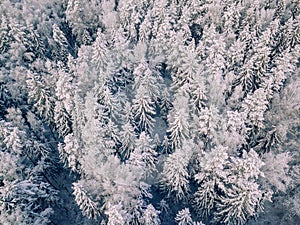 Aerial view of winter forest covered with snow, view from above