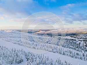 Aerial view of winter forest with frosty trees, rural road and village in Finland