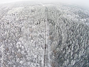 Aerial view of winter forest with hoarfrost on the trees