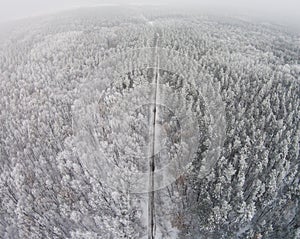 Aerial view of winter forest with hoarfrost on the trees