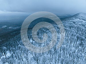 Aerial view of winter forest with light dusting of snow, hoarfrost on trees. Drone view of snowy landscape.