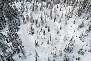 Aerial view of winter landscape atop alpine forest mountain top