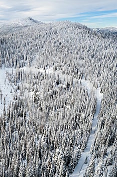 Aerial view of winter landscape atop alpine forest mountain top